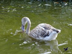 Tiergarten Schönbrunn am 20.10.2025